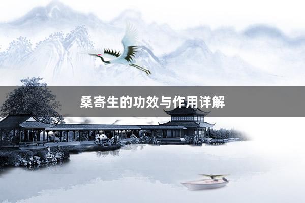 桑寄生的功效与作用详解